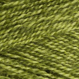 Stylecraft Special DK - 1124 Greengage 