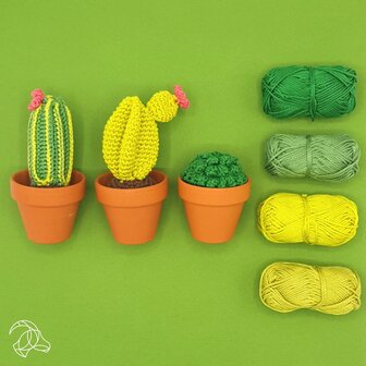 Haakpakket - Cactussen, Hardicraft