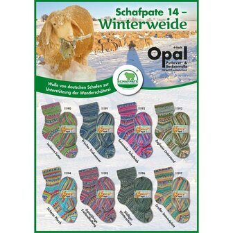 Opal Winterweide- 1190 Leckeres Futter