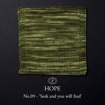 Simy&#039;s Hope DK - 09 Seek and you will find