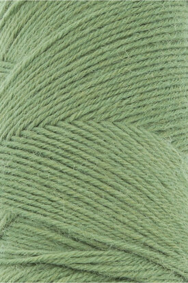 Lang Yarns Jawoll  198 Fern