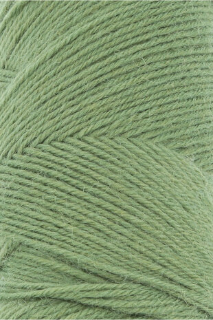 Lang Yarns Jawoll  198 Fern