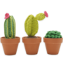 Haakpakket - Cacti