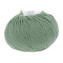 Lang Yarns Merino 120 - 091 Pine