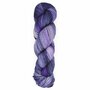 Huasco Sock Twilight Paints by Araucania #5002 Purple-Emperor